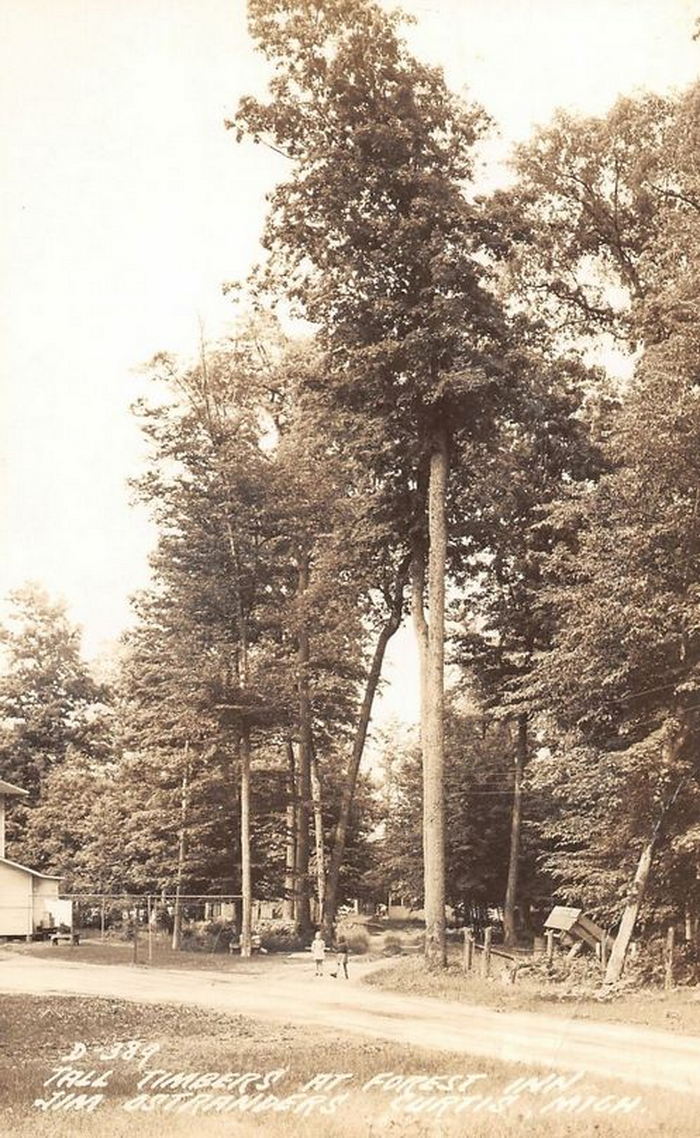 Curtis - Vintage Postcard (newer photo)